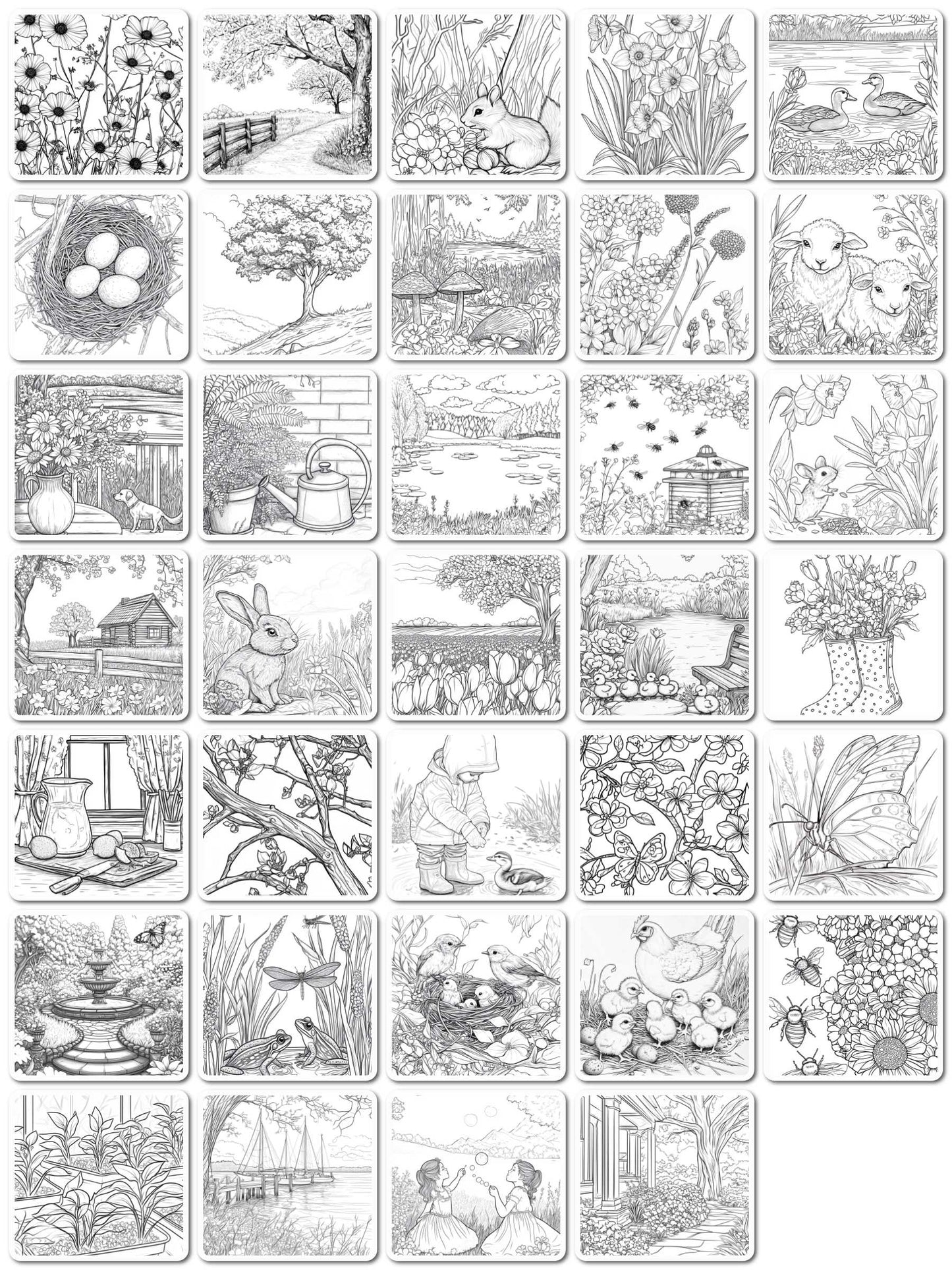 Enjoying Springtime Coloring Book