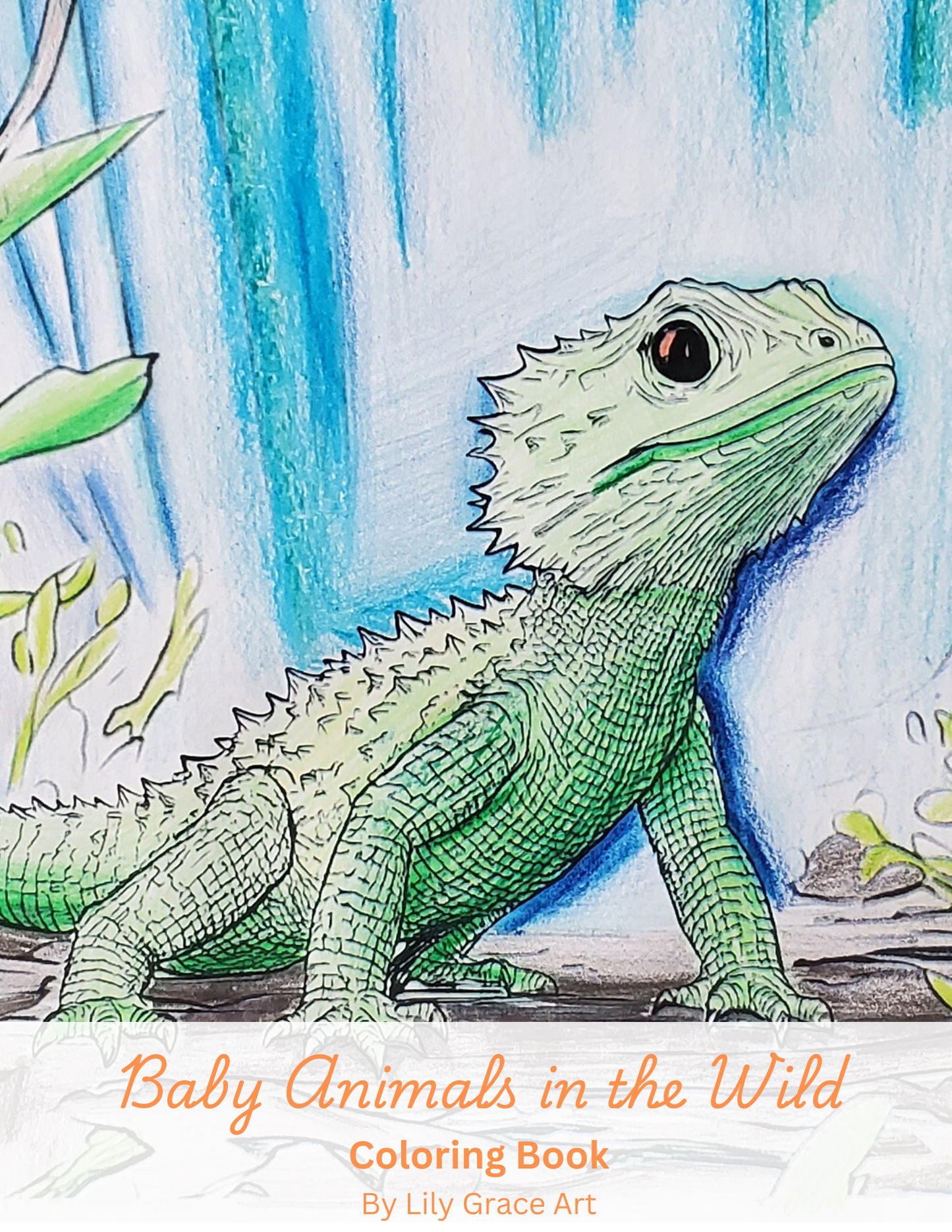 Baby Animals in the Wild Coloring Book